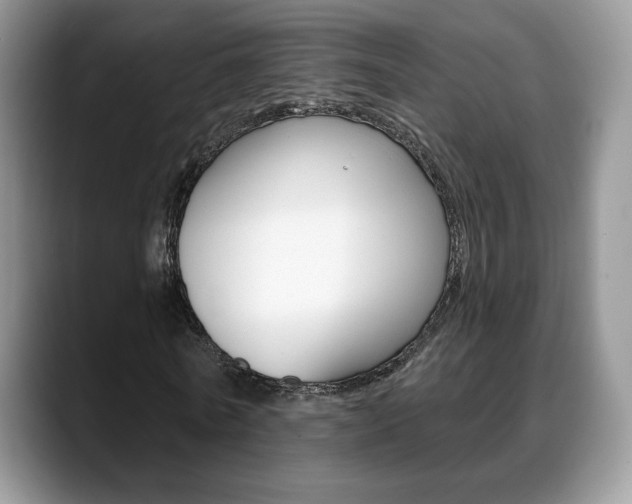 X0000088870770200706080720
