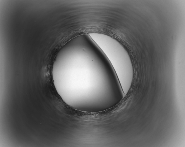X0000088870771200706080720