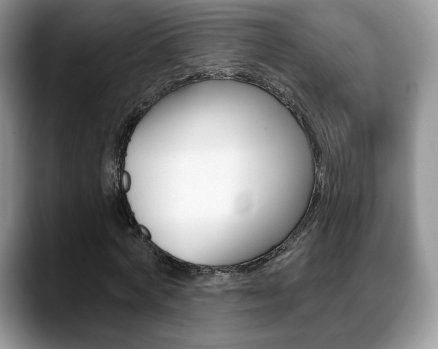 X0000088870772200706080720