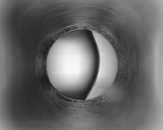 X0000088870773200706080720