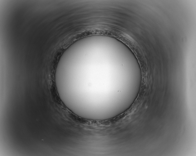 X0000088870774200706080720