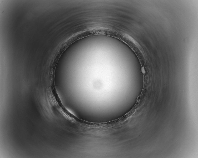 X0000088870775200706080720