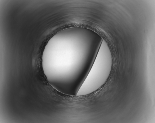 X0000088870776200706080720
