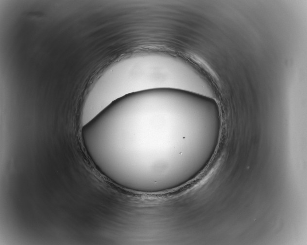 X0000088870777200706080720