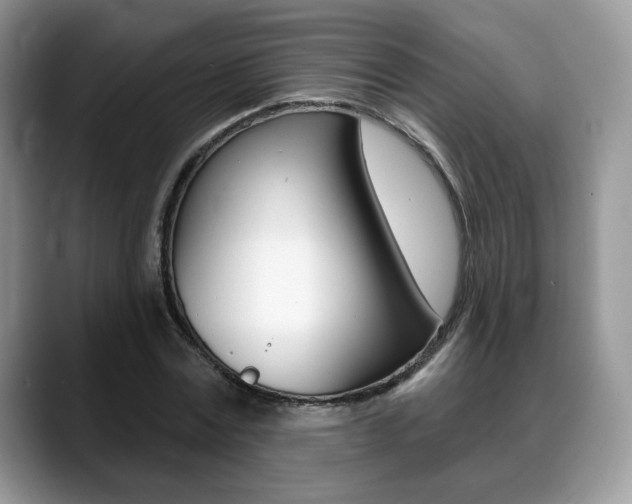 X0000088870779200706080720