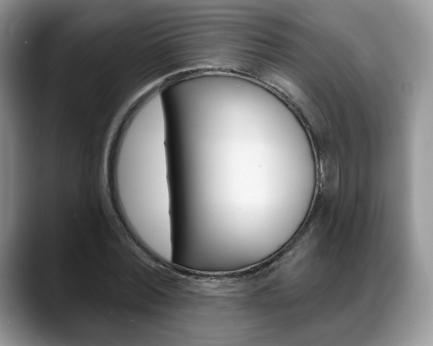 X0000088870780200706080720