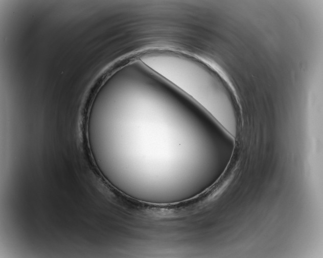 X0000088870783200706080720