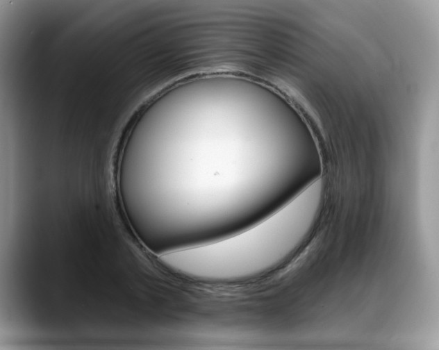 X0000088870789200706080720