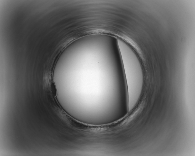 X0000088870793200706080720
