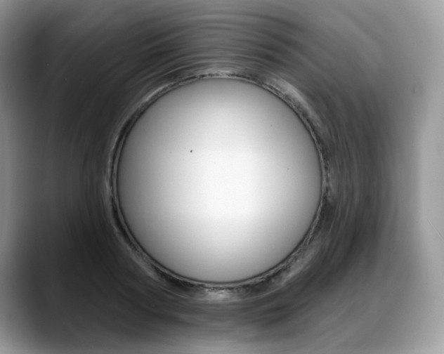 X0000088870794200706080720