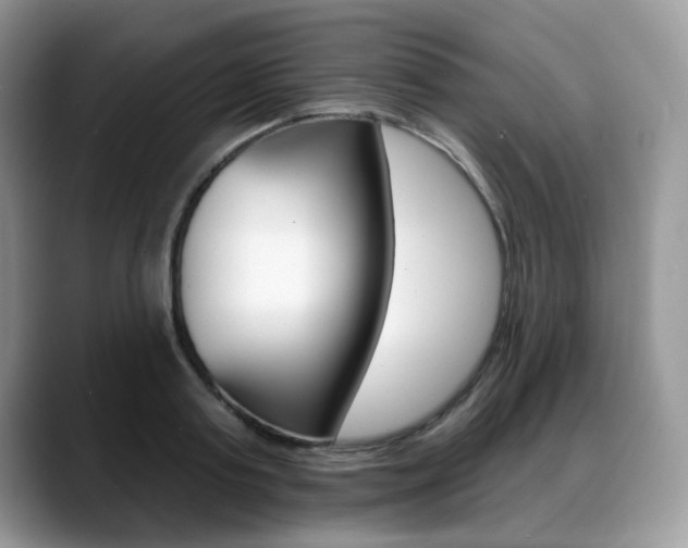 X0000088870795200706080720