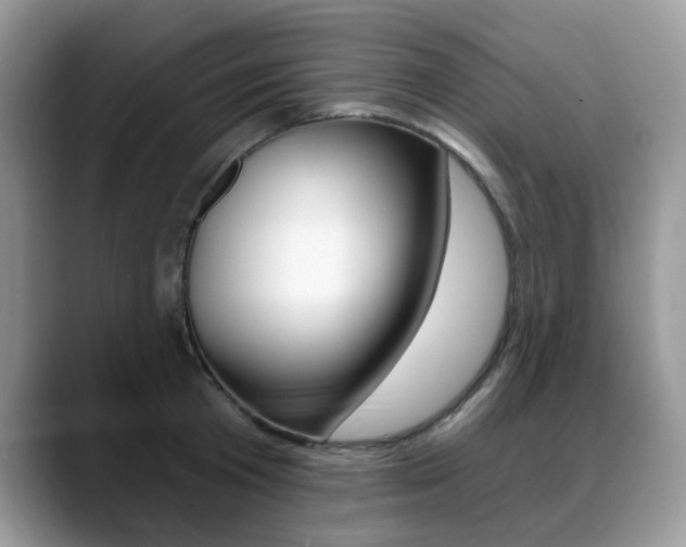X0000088870801200706080720