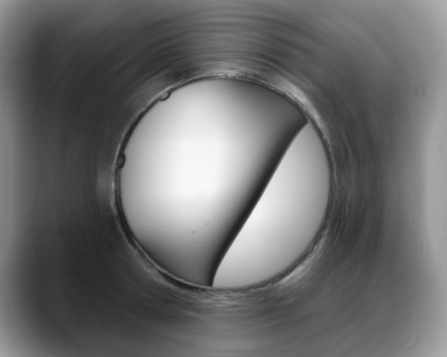 X0000088870802200706080720