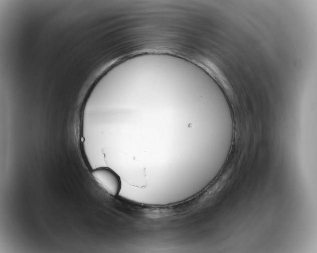 X0000088870804200706080720