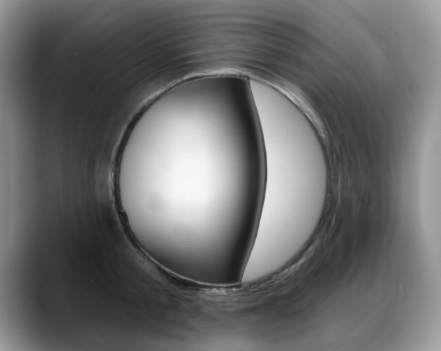 X0000088870805200706080720