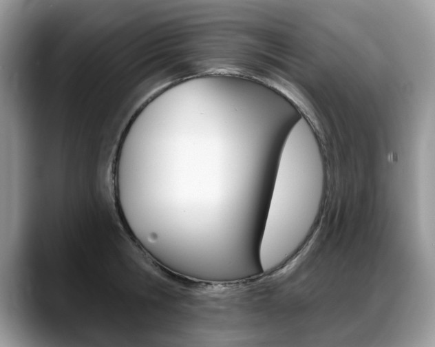 X0000088870806200706080720
