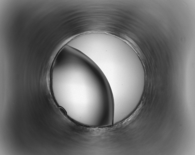 X0000088870812200706080720