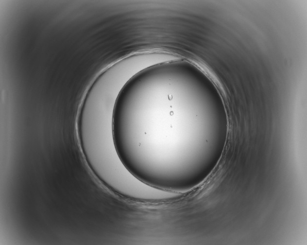 X0000088870813200706080720