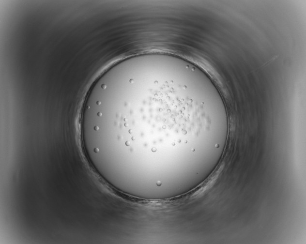 X0000088870814200706080720