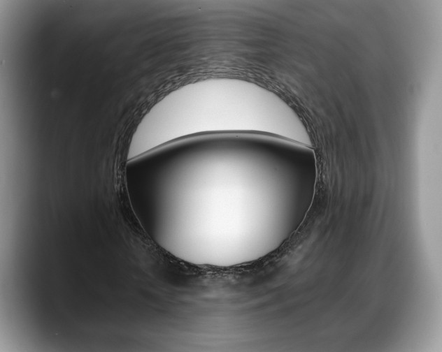 X0000088870818200706080719
