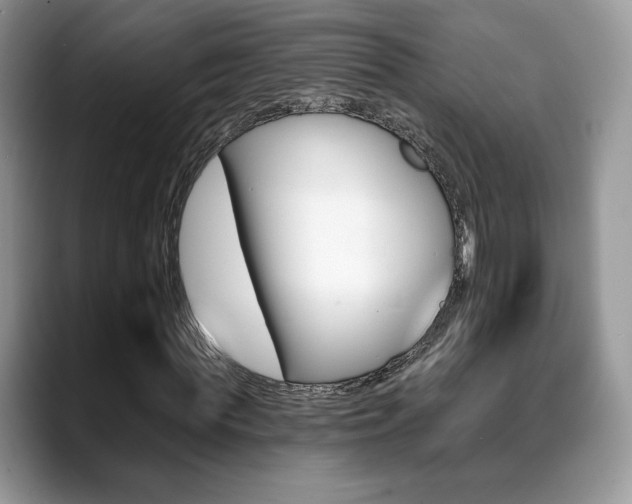 X0000088870819200706080719
