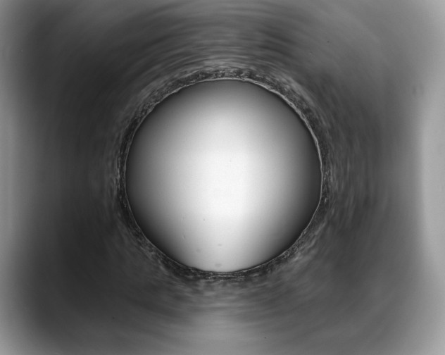 X0000088870821200706080719