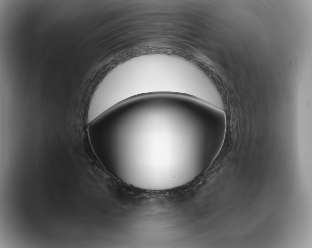 X0000088870822200706080719