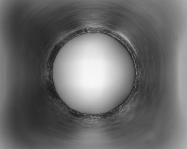 X0000088870823200706080719