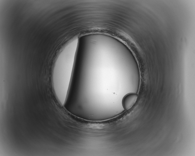 X0000088870825200706080719