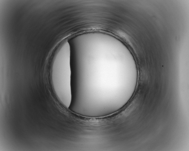X0000088870827200706080719