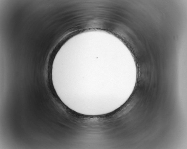 X0000088870828200706080719