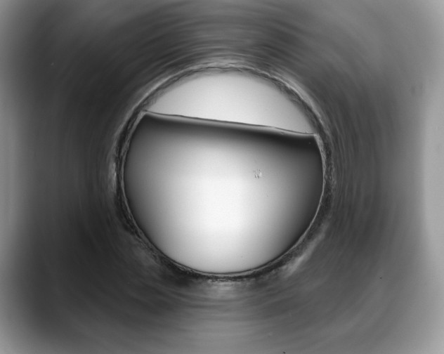 X0000088870829200706080719
