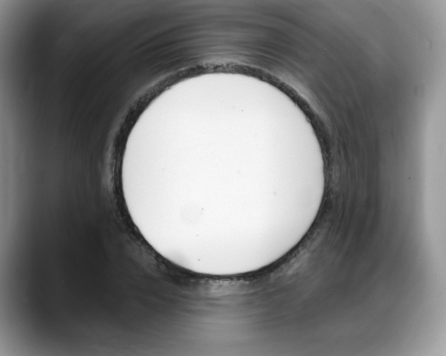 X0000088870832200706080719