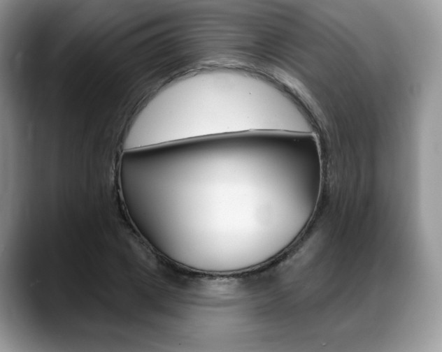 X0000088870833200706080719