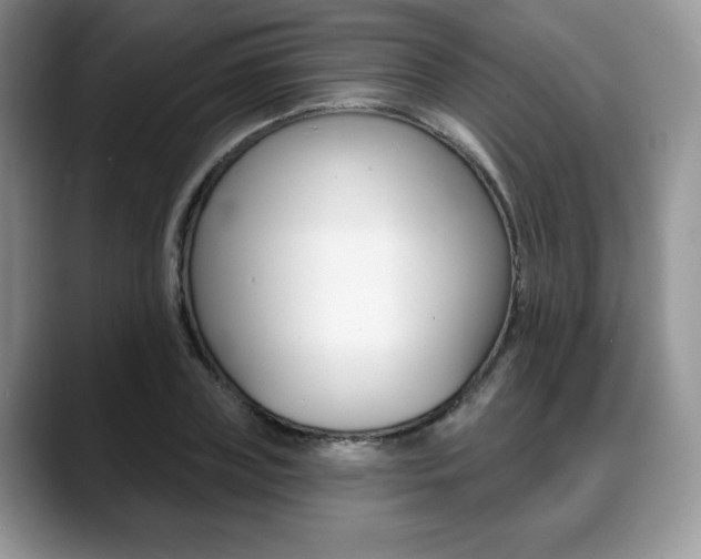 X0000088870835200706080719