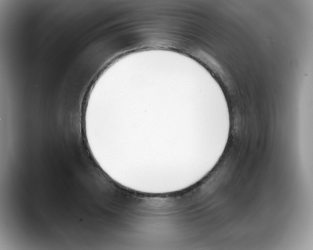 X0000088870836200706080719