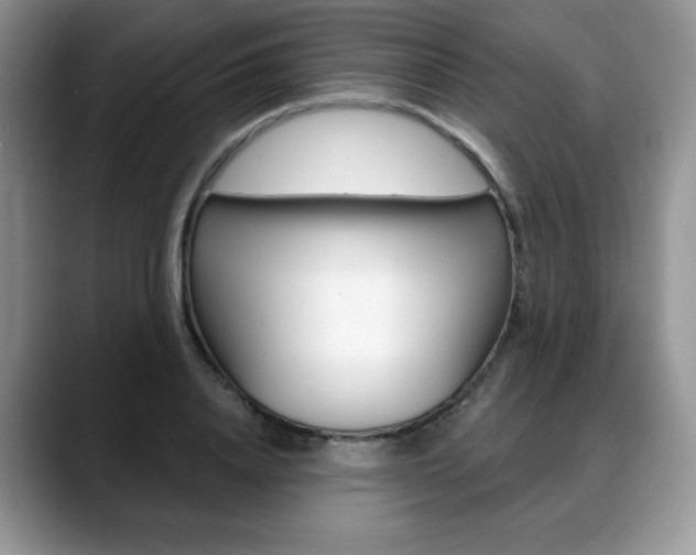 X0000088870840200706080719