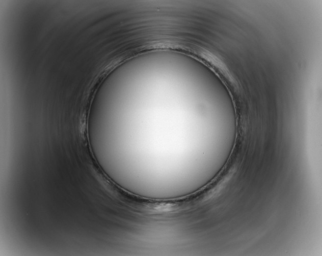 X0000088870841200706080719