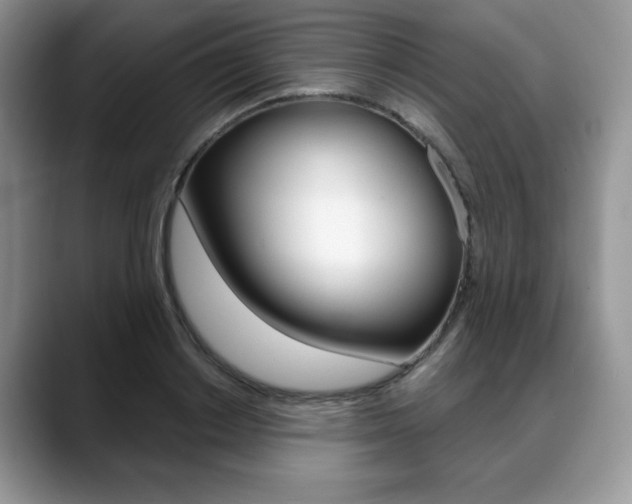 X0000088870842200706080719