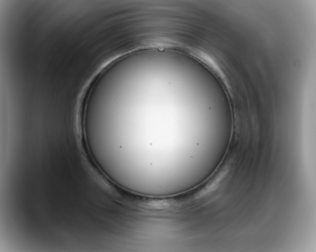X0000088870843200706080719