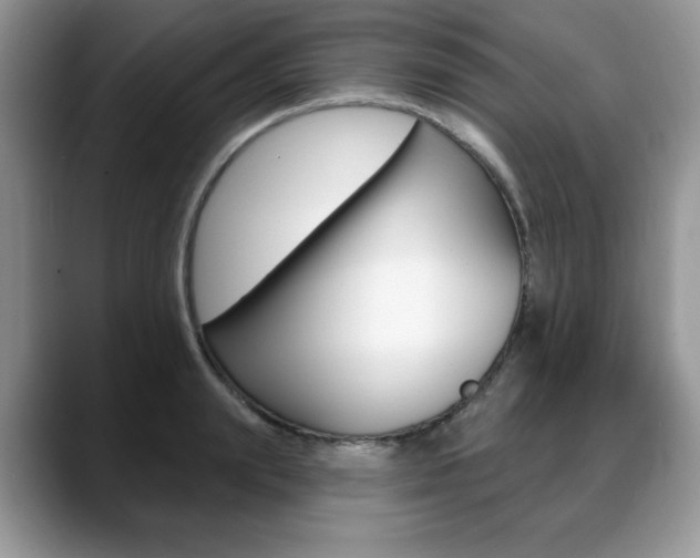 X0000088870847200706080719
