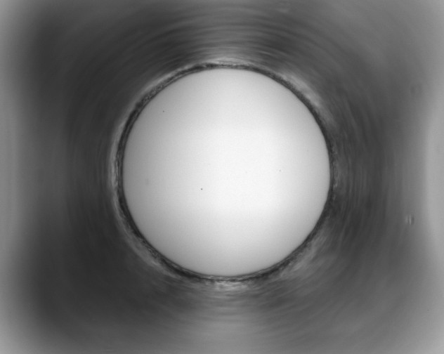 X0000088870848200706080719