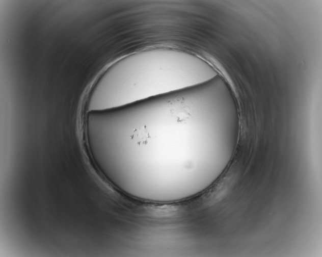 X0000088870851200706080719