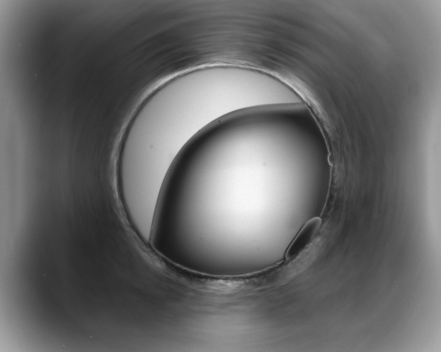 X0000088870854200706080719