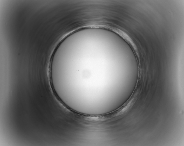 X0000088870855200706080719