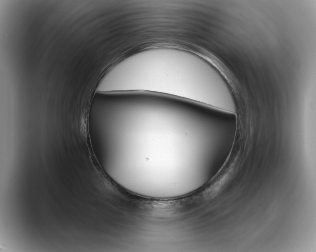 X0000088870857200706080719