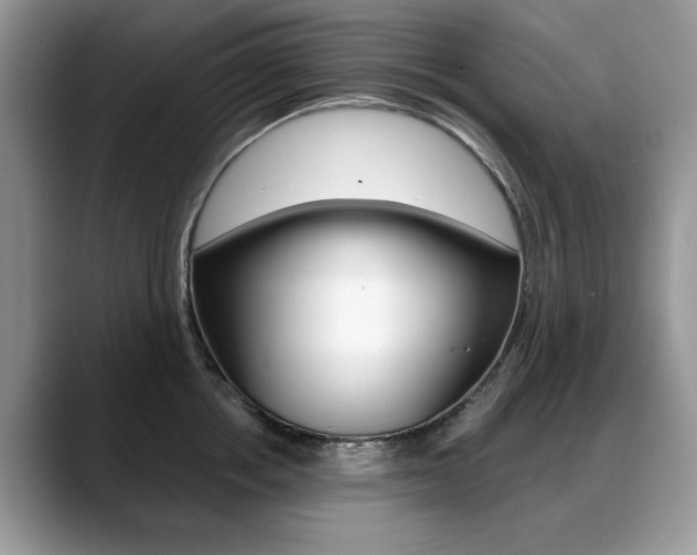 X0000088870858200706080719