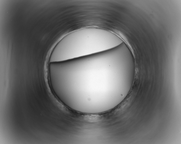 X0000088870859200706080719
