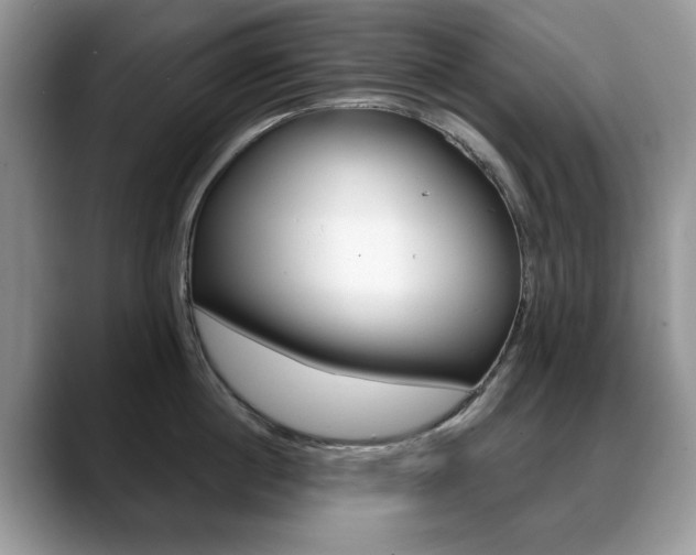 X0000088870860200706080719