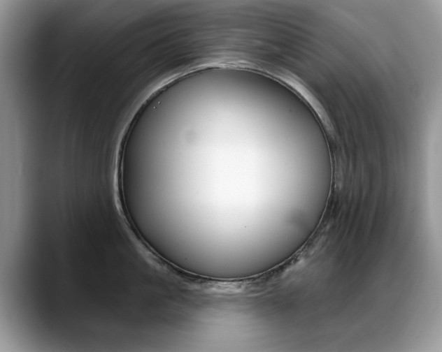 X0000088870861200706080719